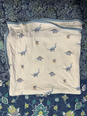 Kyte Baby Retired Jurassic Dinosaur Print Swaddle Blanket Bamboo